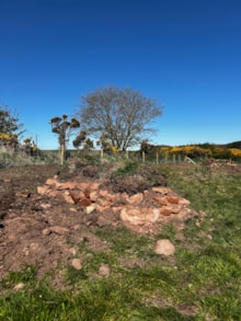 Powfoot hibernaculum (c) Liam Templeton Amphibian and Reptile Conservation: Powfoot hibernaculum (c) Liam Templeton Amphibian and Reptile Conservation