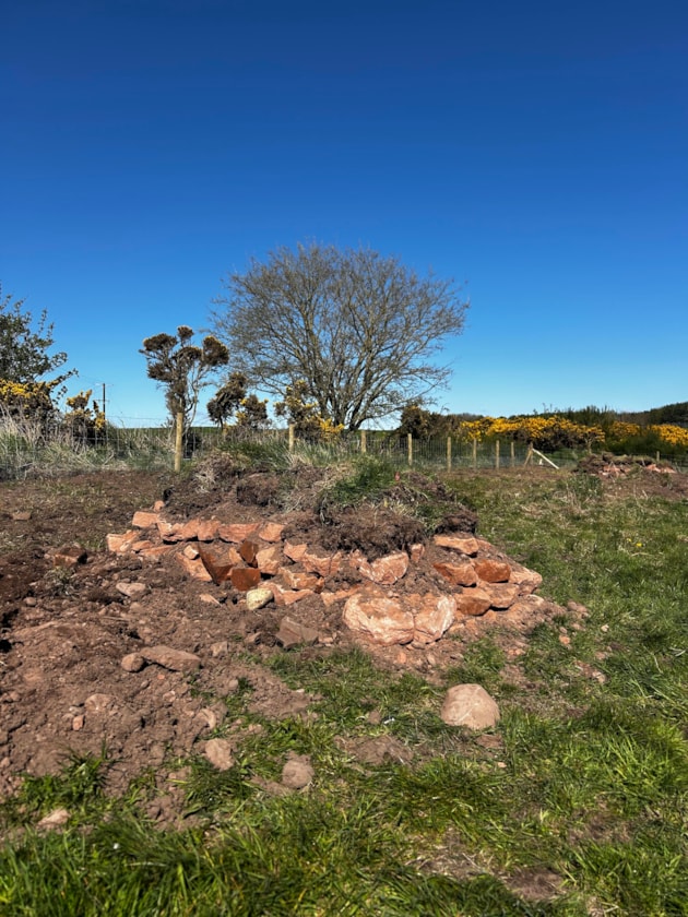 Powfoot hibernaculum (c) Liam Templeton Amphibian and Reptile Conservation