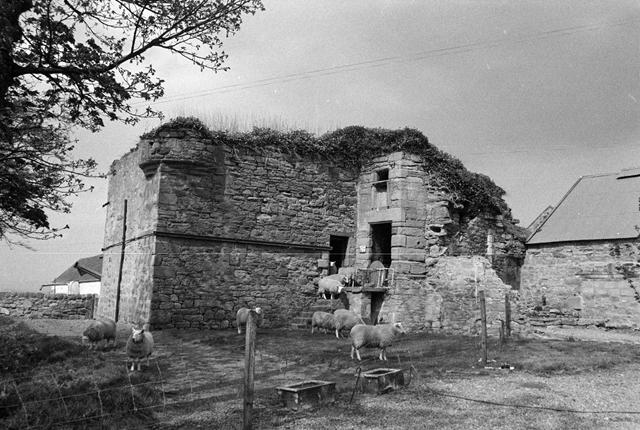 SC 1954603 - Cadboll Castle, Fearn Parish, Highlands - 1981