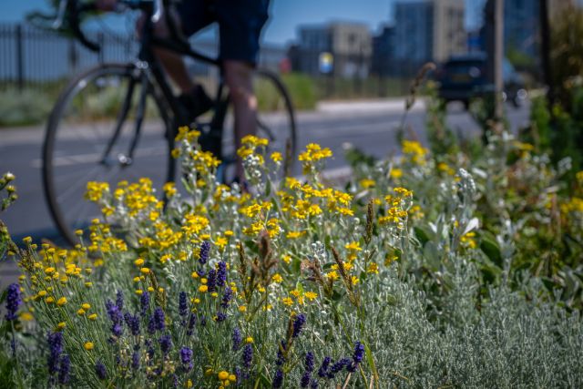TfL Image - SUDs on Forest Road near Blackhorse Road