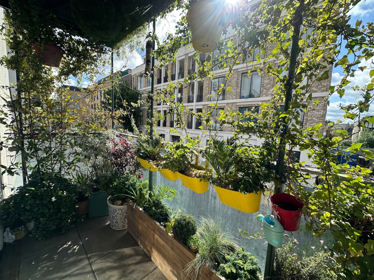 Best Balcony