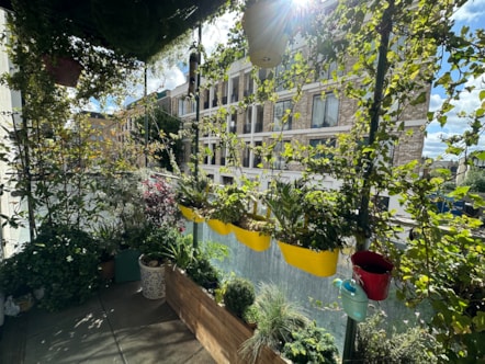 Best Balcony