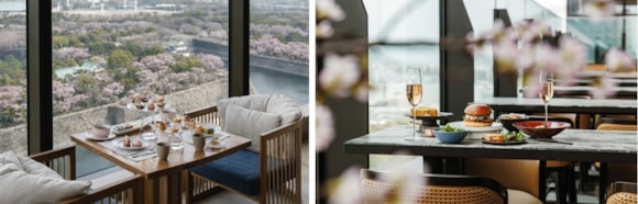 58f79e1d7fdd478fa783effffb7f2749?width=580&height=580