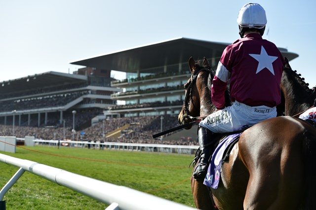 Cheltenham Festival - Picture Credit Cheltenham Racecourse: Make sure to credit this image to Cheltenham Racecourse