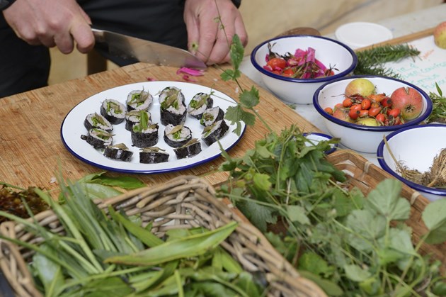 Foraging festival encourages people to explore wild food: Foraged berries and wild plants will feature across this year's Foraging Fortnight programme. ©Lorne Gill/NatureScot