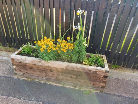 Image shows flower beds at Squires Gate station