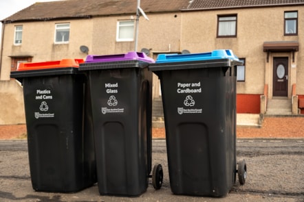 The new wheeled bins
