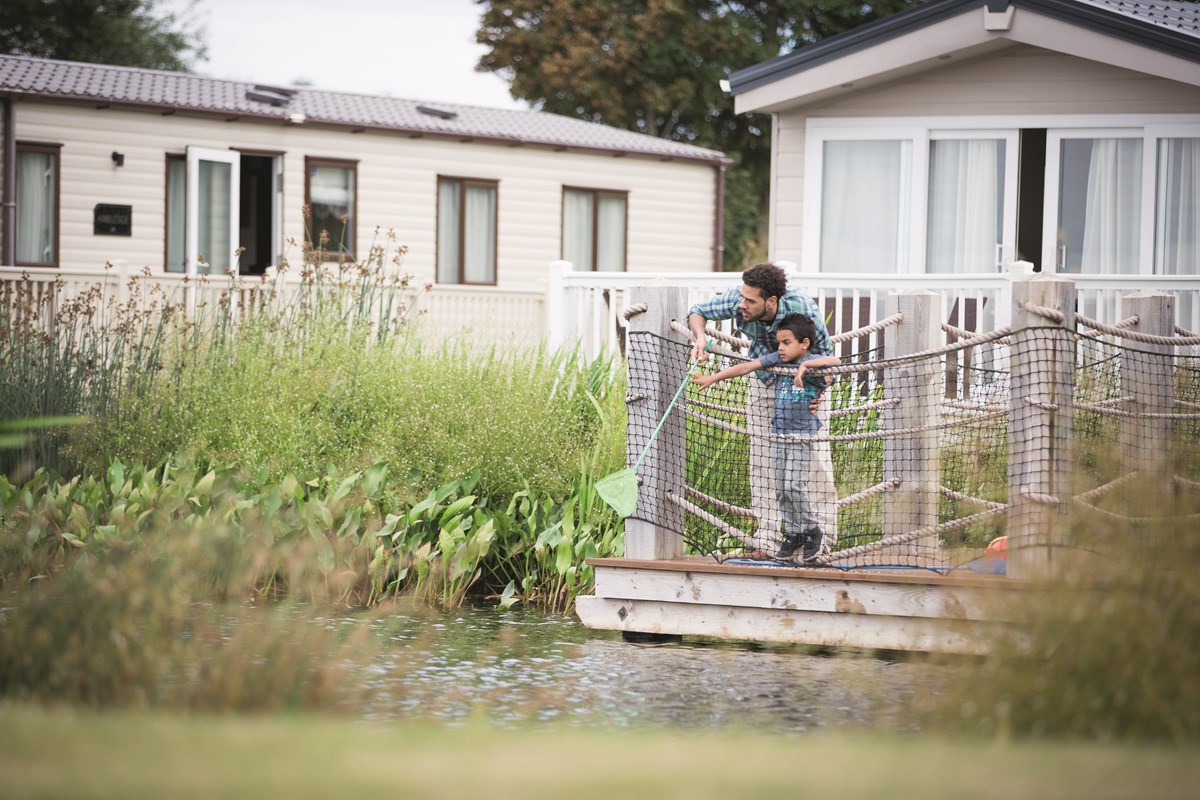 Pond Dipping at Doniford Bay