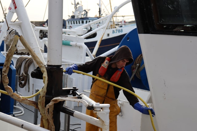 IMG 1034 - Large (1)