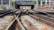 wcml-decision-cover-image: wcml-decision-cover-image