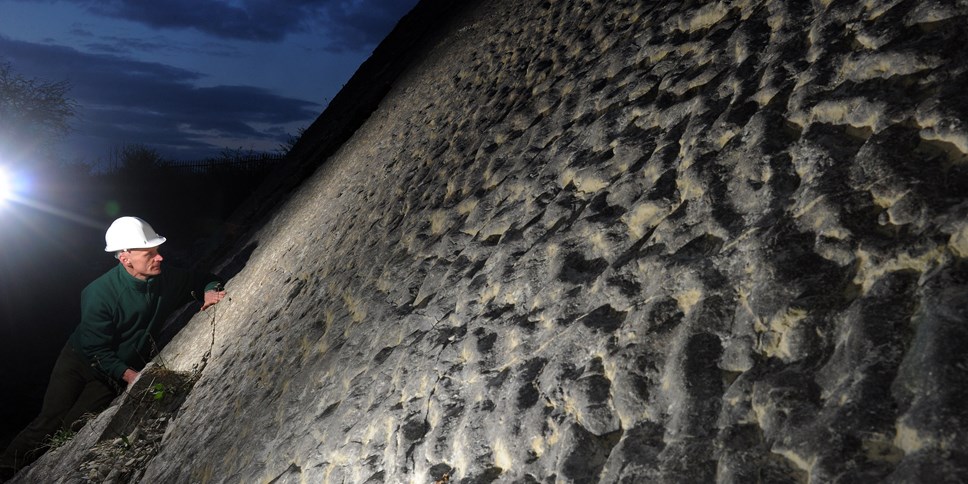 Ripple beds at Wren's Nest Nature Reserve (Please credit Phil Riley)