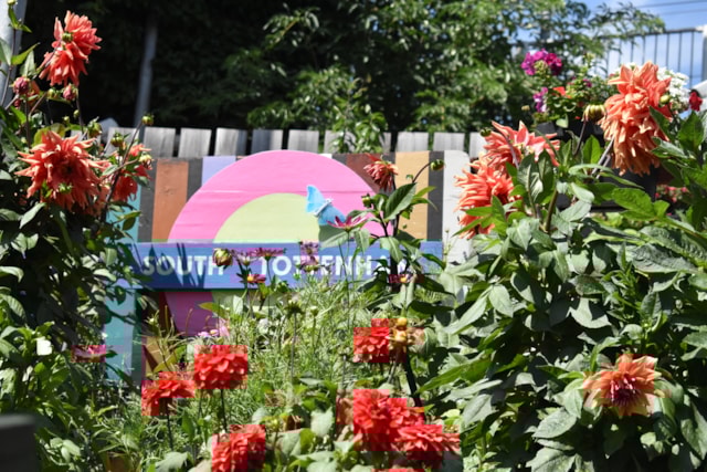 TfL Image - In Bloom 2025 South Tottenham station