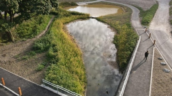 How Brighton scientists are helping keep toxic road runoff out of the city’s water supply: Wild Park Rainscape Sept 2025 - drone (c) BHCC cropped