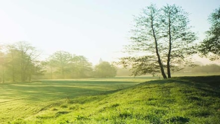 green-field