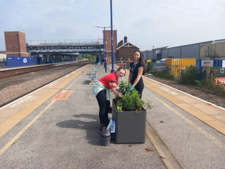 New planters installed at TPE stations  (4)