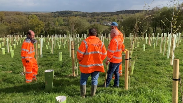21,000 trees and shrubs planted near Okehampton as first phase of ecology project is completed: Okehampton ecology project