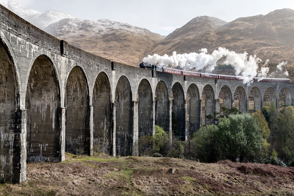 Wizards and witches encouraged to join in Harry Potter-themed library fun