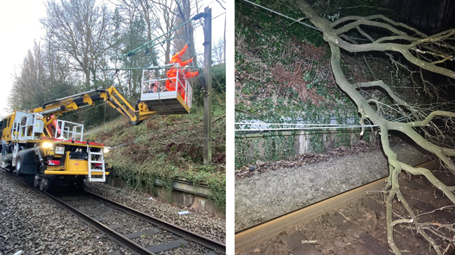 Tree damage overhead lines Styal composite