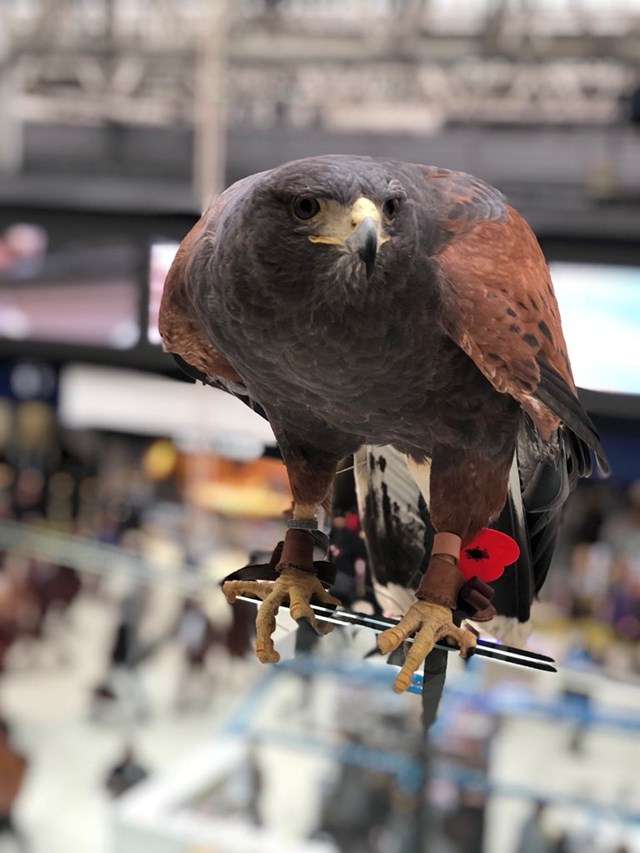 Aria at Waterloo this week