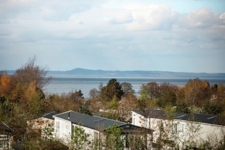 Park view at Seton Sands