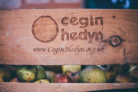 Cegin Hedyn3