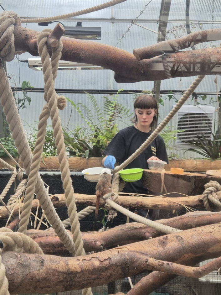 Charlotte Ryan VTL 2: A person feeding a small monkey.