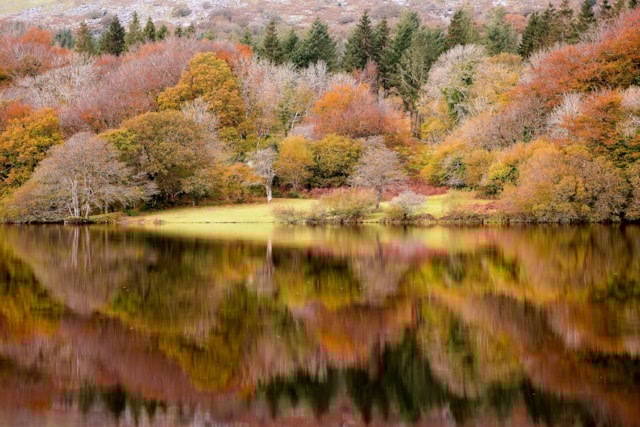 Anna Curnow’s Autumnal image of Burrator won the Stunning Scenery category and was the overall winner.