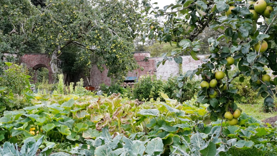 Walled garden main entrance