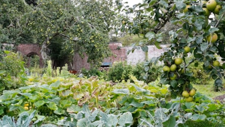 Walled garden main entrance