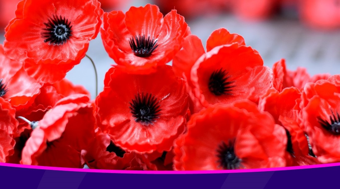 Remembrance travel 2025 cropped