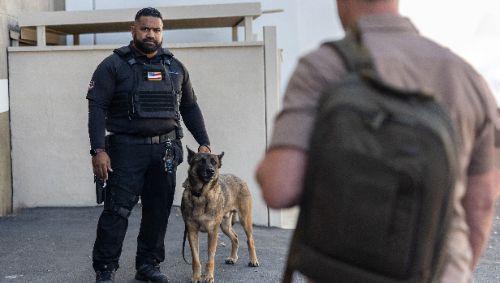 Canine Services