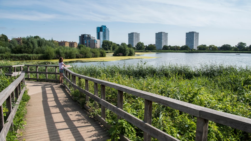 The reservoir at Woodberry Wetlands with the Woodberry Down estate and Lincoln Court estate in the background
