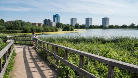 The reservoir at Woodberry Wetlands with the Woodberry Down estate and Lincoln Court estate in the background