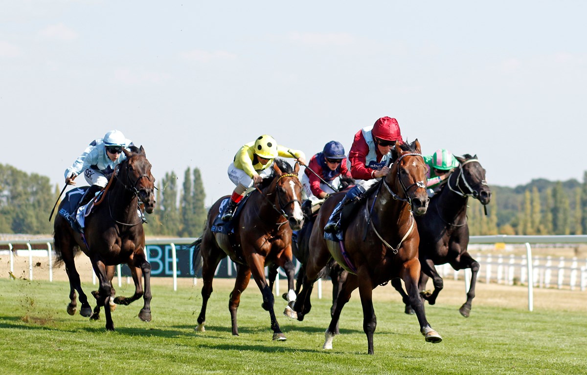 Newbury races