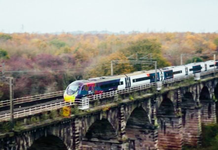 Pendolino Poppy Train Dutton Viaduct Close Up