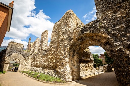 Reading Abbey Ruins