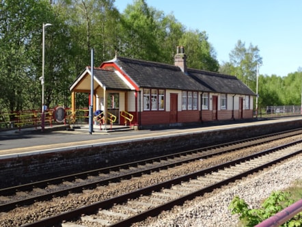 Haltwhistle-2