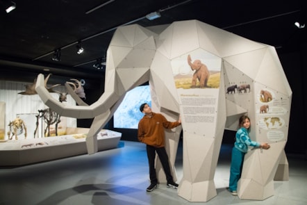 Life-sized 3D model of a mammoth, featured in GIANTS. Photo (c) RBINS (3)