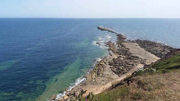 Flamborough and Filey Coast Special Protection Area (SPA) Celebration: Flamborough pic - Filey Brigg
