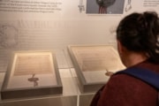 Visitor taking their time to see three rare issues of Magna Carta in Durham Cathedral Museum