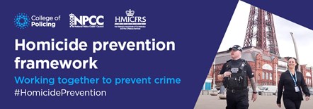 Homicide-prevention-framework-1000x350