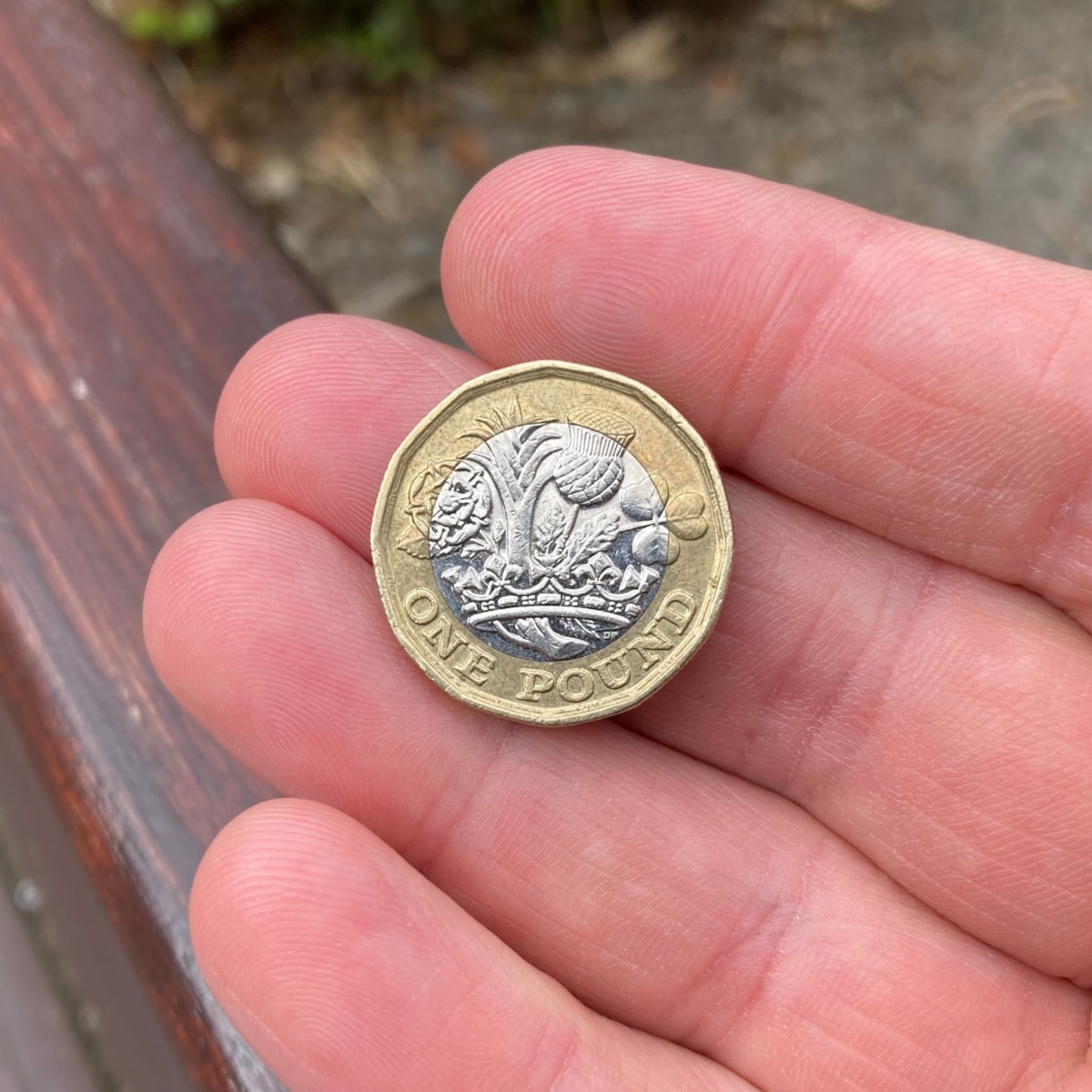 pound coin