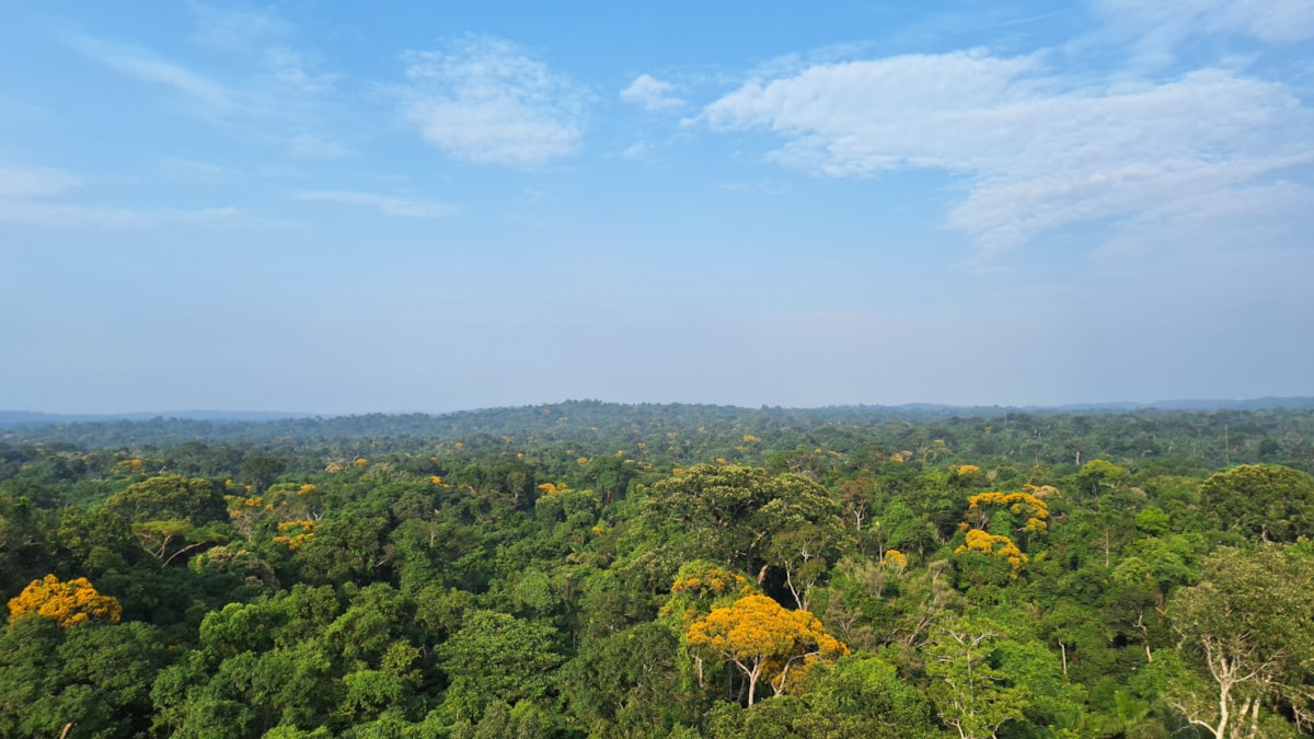 University of Cumbria academic contributes expertise on seed dispersal to new Amazon rainforest study-5