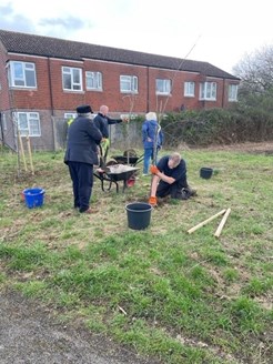 Tree planting-4