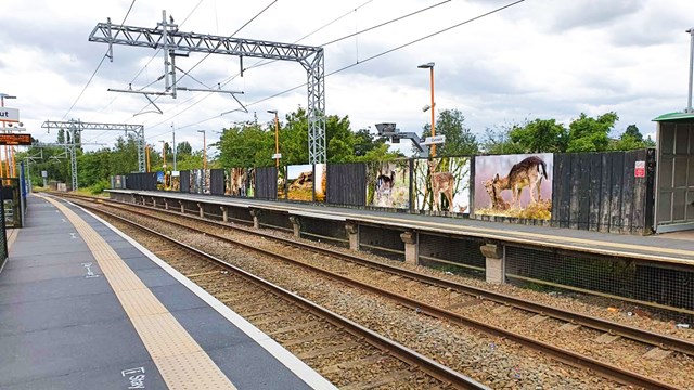 Rail upgrades to improve journeys between Walsall and Cannock: Cannock Station