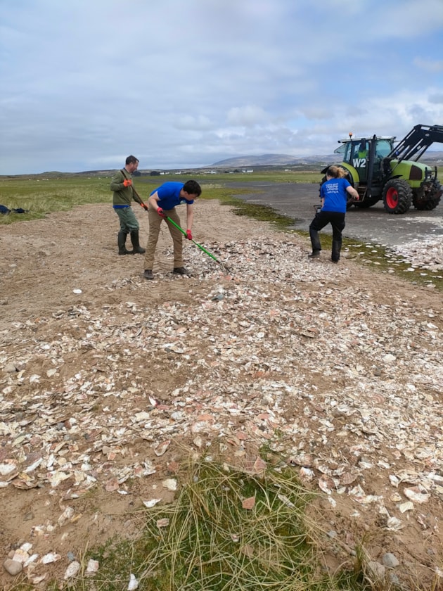 Islay tern habitat creation 2 ©Lucy Atkinson 