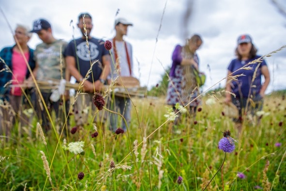 Long Mead Foundation and Nature Recovery Network