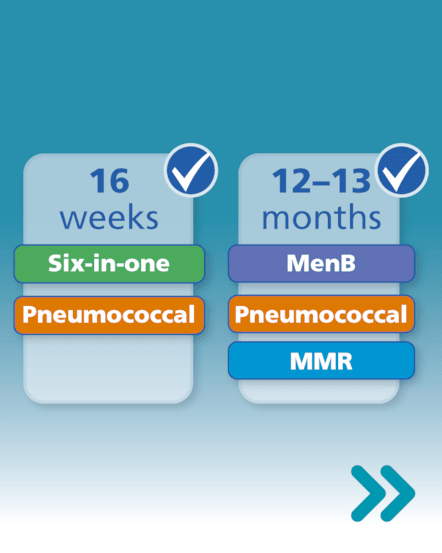 Childhood Imms Asset 7.3 (Carousel)