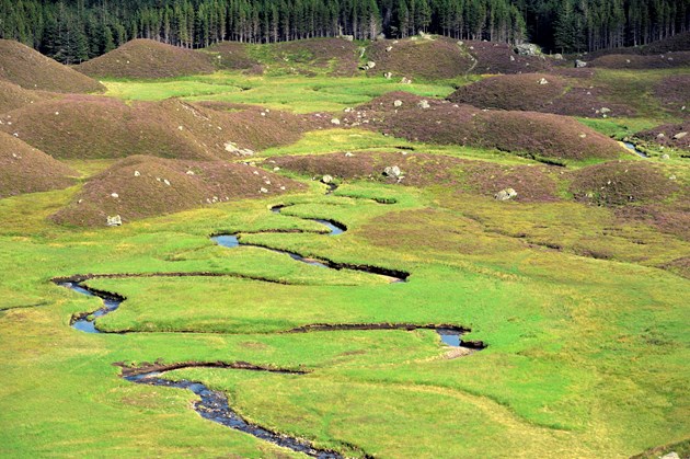 Corrie Fee NNR -credit SNH-Lorne Gill