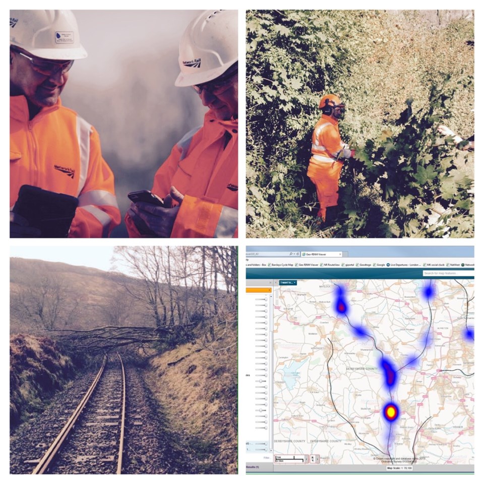 Railway tree census singles-out problem trees to reduce costs and improve safety